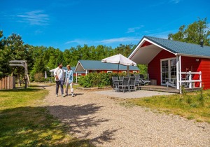Comfortable chalet near Park De Veluwe