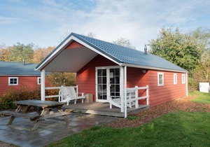 Comfortable chalet near Park De Veluwe