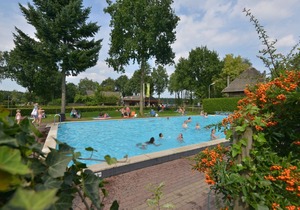 Comfortable chalet near Park De Veluwe