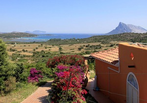 Comfortable studio with sea view and balcony or terrace