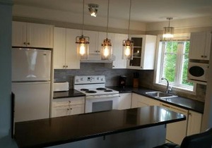 Condo Lac Archambault 295