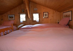 Cosy apartment for 9 guests with WIFI, TV, balcony, pets allowed and parking