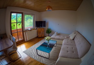 COSY APARTMENT PR POTOKAR