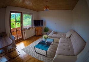 Cosy Apartment Pr Potokar