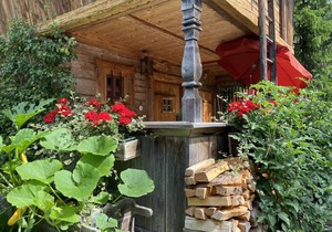 Cosy eco-friendly chalet with countless extras near the lake in Asten