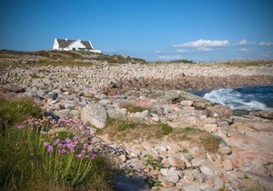 Cottage 215 - Claddaghduff