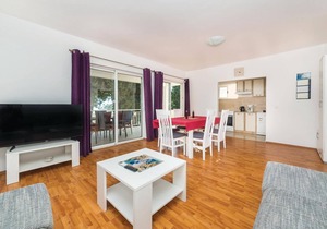 Cozy apartment in Blace with WiFi
