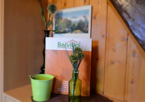 Cozy Apartment near Forest in Lichtenhain