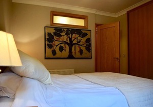 Cozy Ballsbridge Apartment