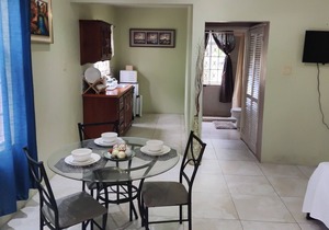 Cozy Barbican Flat. 3 mins to Bob Marley Museum