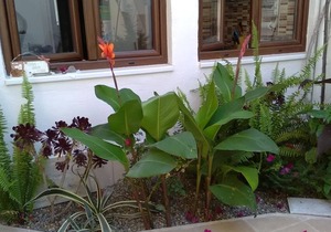 Cozy budget mini apartments in Quartu Sant'Elena 2 km from Poetto Beach