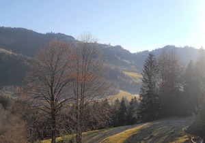 Cozy Chalet in Niederndorf bei Kufstein near Ski Area