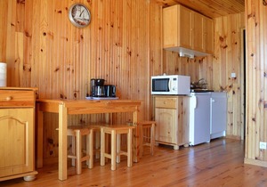 Cozy chalet ground floor with balcony and 1 bedroom