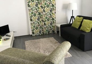 Cozy Green Apartment