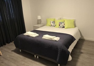 Cozy Green Apartment
