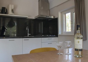 Cozy home in Ommen with sauna