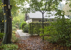 Cozy house with a fireplace in a holiday park in a natural area