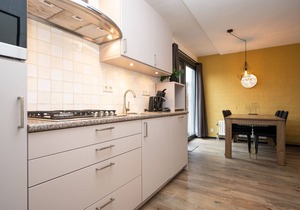 Cozy house with unobstructed view, located on Texel