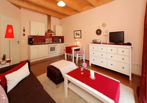 Cozy vacation apartment (40 sqm) in the new organic wooden house and large terrace
