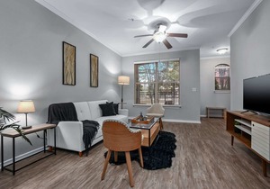 CozySuites | TWO Modern & Charming Apartments | Cityplace