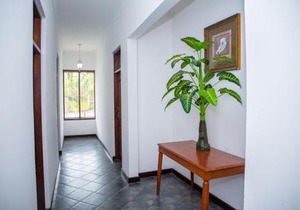 Daisy Comfort Home