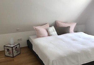 Villa Neidstein - Luxurious attic apartment