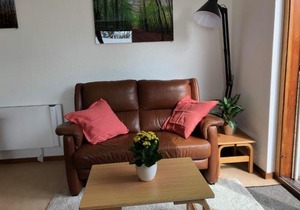 De vier Berken 1