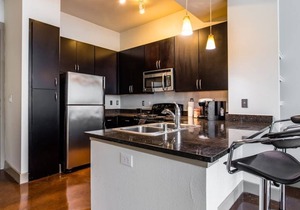 Deep Ellum Luxury Condo #2
