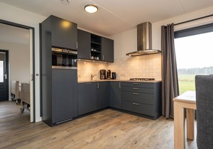 Detached house with nice view located on Texel