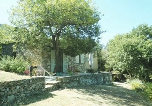 Domaine de Suale in Barbaggio