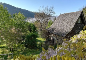 Domaine du Puech Fleuri