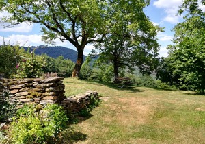 Domaine du Puech Fleuri