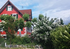 Doppelzimmer mit Badewanne