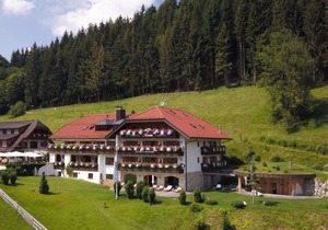 Double room Comfort - Hotel Blaue Gams