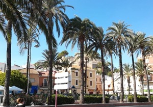 Double room for 2 guests with 25m² in El Verger (156487)