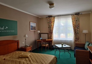 Double Room for Single Use - Hotel zur Post Waldbreitbach