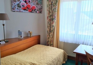 Double Room for Single Use - Hotel zur Post Waldbreitbach