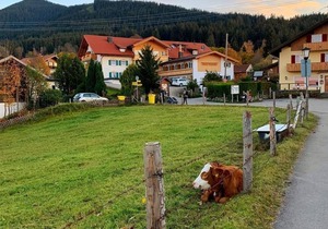 Double room mountain view no. 14 - Wellnesshotel Waldruh