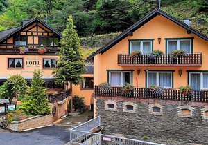 Double room, shower or bath, toilet - Hotel Café Herrmanns Mühle