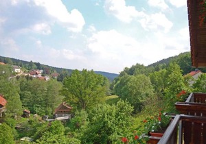 Double room without balcony 03 - Gasthaus Zum Pälterwald