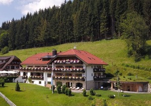 Double room without balcony - Hotel Blaue Gams