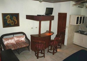 Downtown guest-friendly 1BD condo steps from all shops/bars/beaches/restaurants