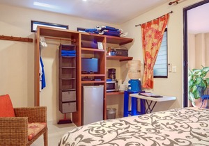 Economical hotel style room with queen bed & bath w shower