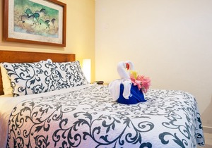 Economical hotel style room with queen bed & bath w shower