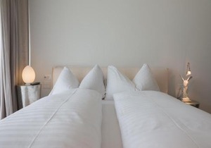 Edelweiss Mountain Suites 04-01