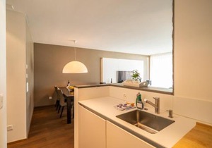 Edelweiss Mountain Suites 04-05