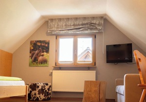 Einzelzimmer, 13qm, mit DU/WC und Balkon