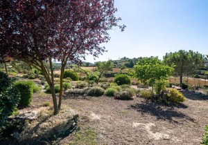 El Clos 5