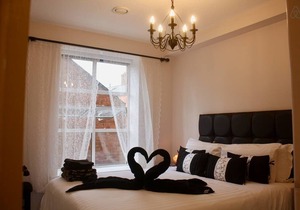 Elegant Modern 2 BDRM Apt. near Temple Bar ☘
