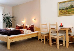 ERZ 060 - Room 2 - Apartments Altenberg ERZ 060